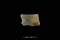 陶罐藏品圖，第2張